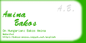 amina bakos business card
